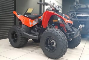 Can-Am DS 90 (2019 м.г.)