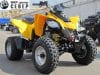 Can-Am DS 250 (2020 м.г. 