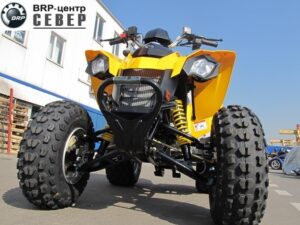 Can-Am DS 250 (2020 м.г.)