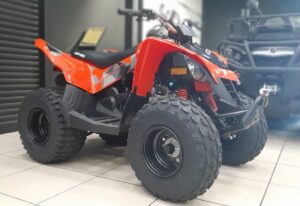 Can-Am DS 90 (2020 м.г.)