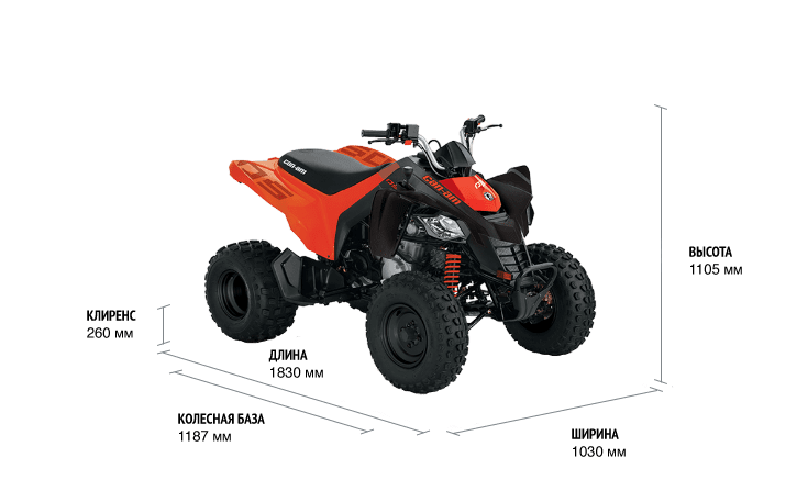 Can-Am DS Base 250 2021